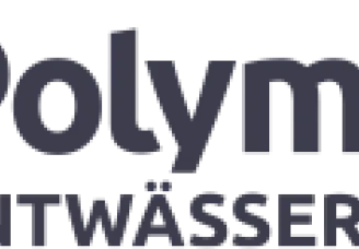 logo blue