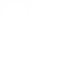 return icon